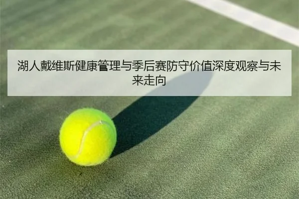 湖人戴维斯健康管理与季后赛防守价值深度观察与未来走向